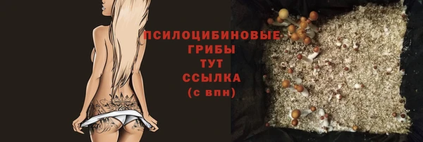 герыч Тутаев