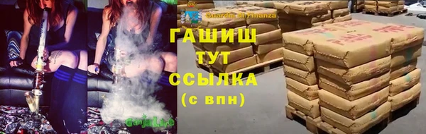 стаф Гусь-Хрустальный